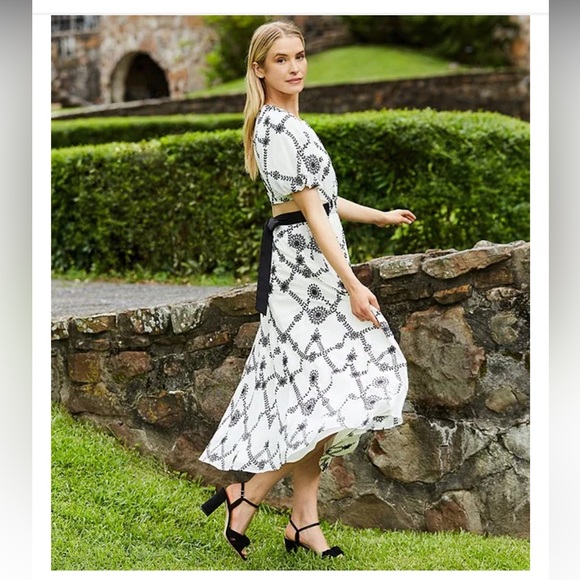 NWT ANTONIO MELANI Javier Novelty Embroidered Chiffon mini dress - Picture 2 of 9